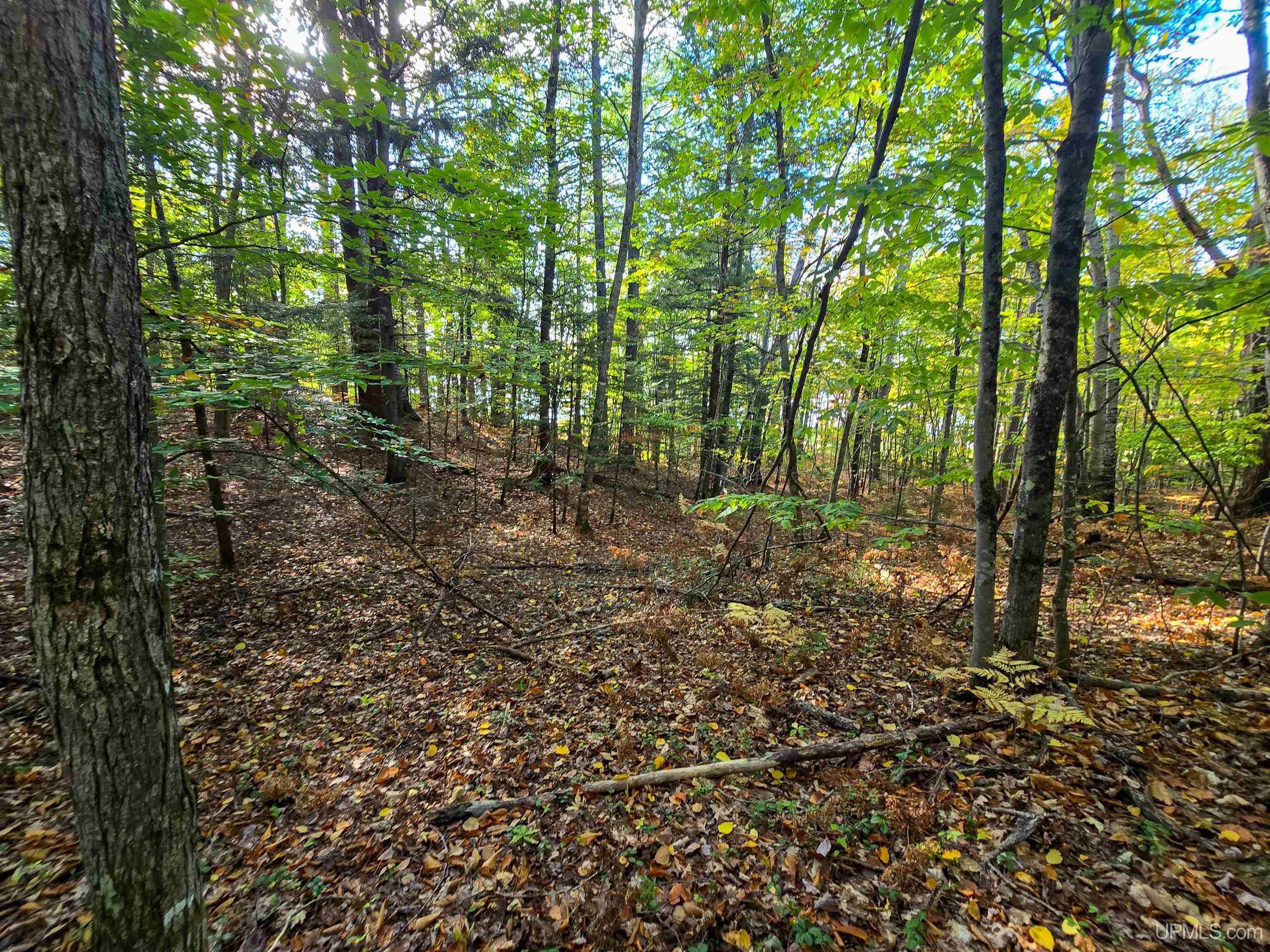 Tbd Buckhorn Drive Wetmore, MI 49895 - Photo 4 of 17