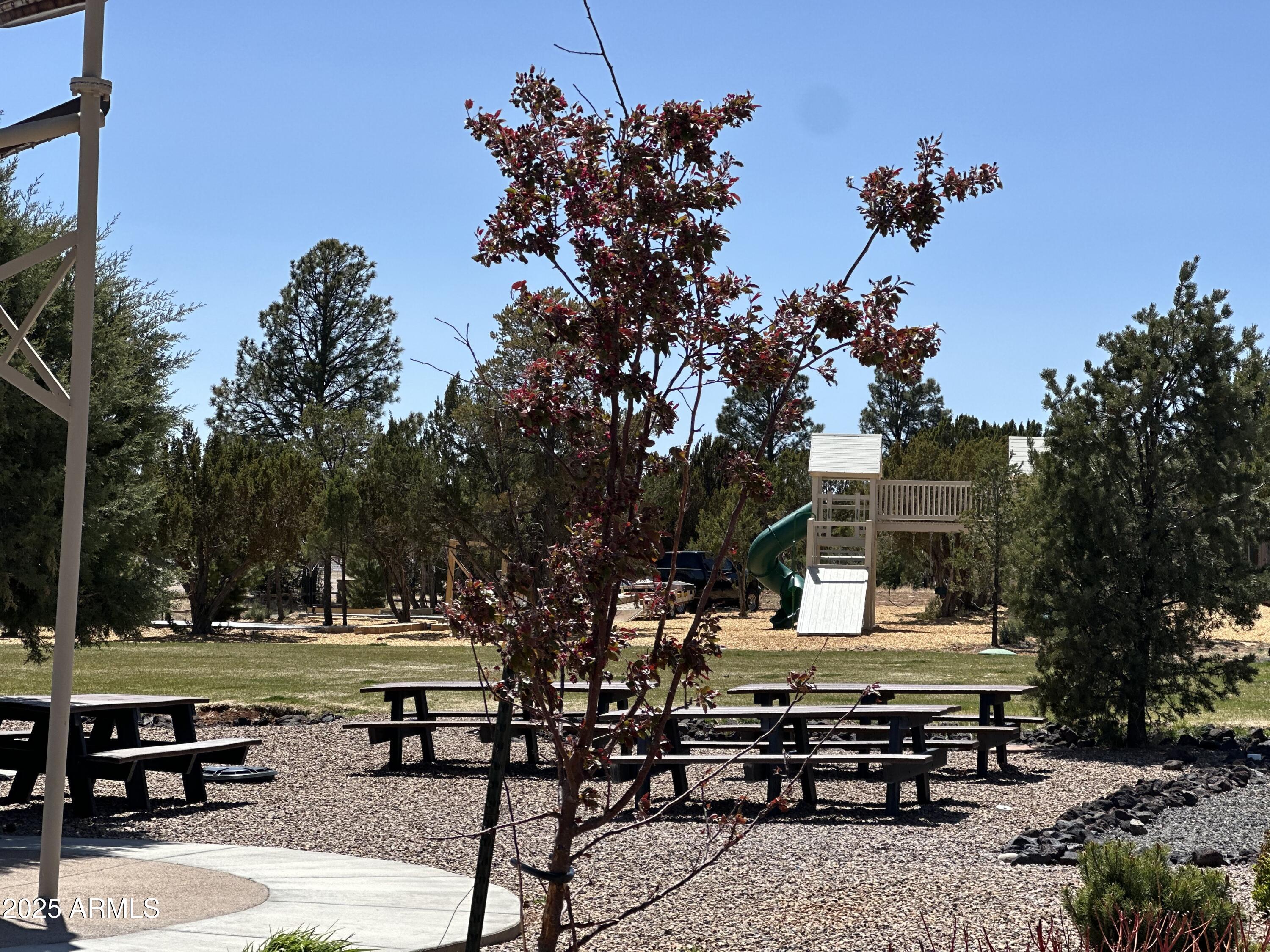 2746 Columbia Lane, Unit 10 Overgaard, AZ 85933 - Photo 4 of 33 a view of a yard with plants and trees