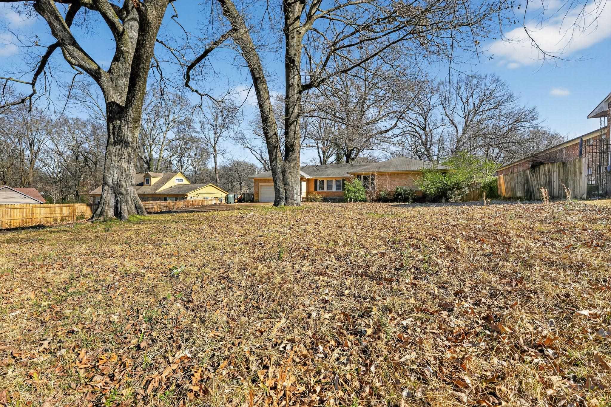 4094 Auburn Road Memphis, TN 38116 - Photo 29 of 30 a view of a yard with a large tree