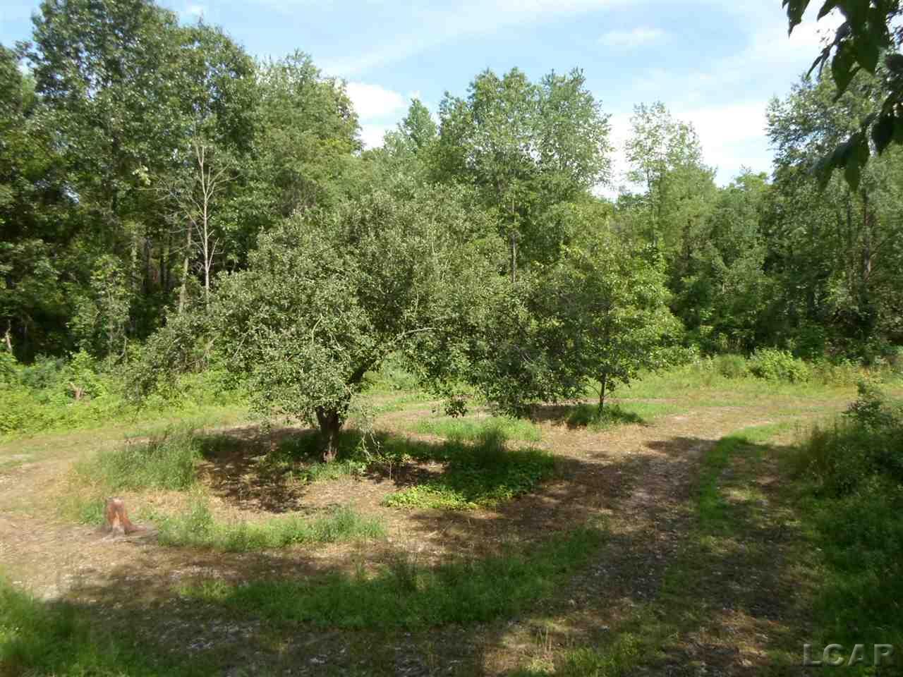 12000 Stephenson Road, Unit PARCEL A Brooklyn, MI 49230 - Photo 19 of 49