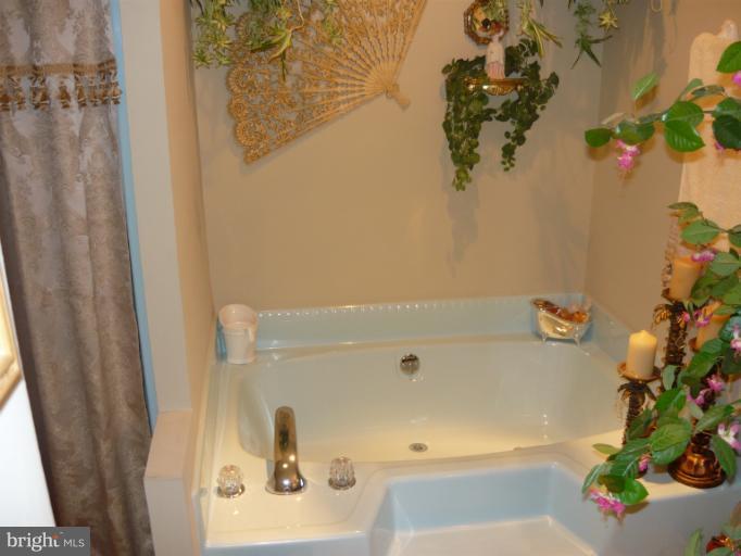 14626 Clear Spring Road Williamsport, MD 21795 - Photo 26 of 30 Bath (Master)