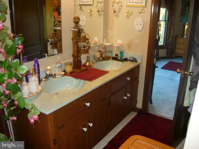 14626 Clear Spring Road Williamsport, MD 21795 - Photo 27 of 30 Bath (Master)