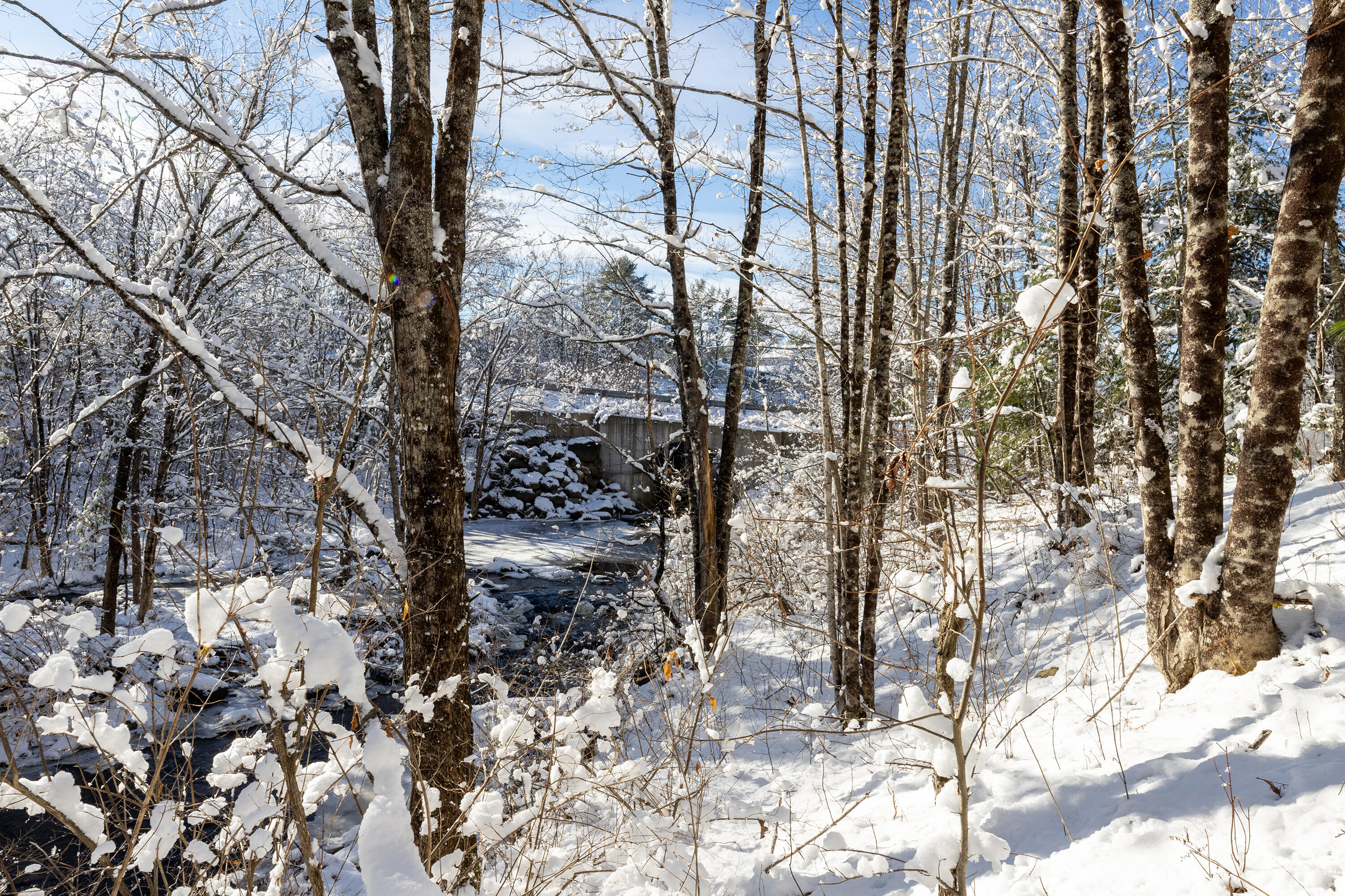 0 Fishtown Road Union, ME 04862 - Photo 3 of 21 IMG_9332