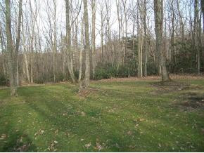 215 Round Knob Road Greeneville, TN 37743 - Photo 8 of 9 Photo 8