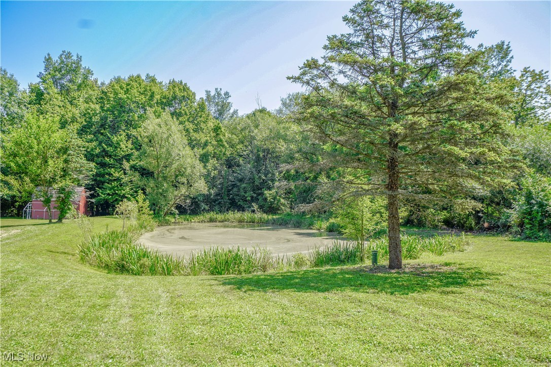 5367 Lance Road Medina, OH 44256 - Photo 40 of 44 Pond