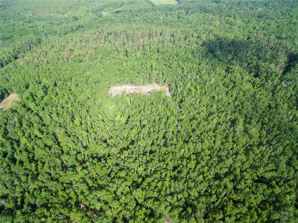 18233 185th Road Live Oak, FL 32060 - Photo 45 of 99 a view of a lush green field