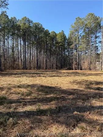 a view of outdoor space with green space