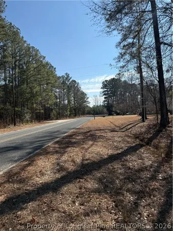 a view of dirt yard with a large tree