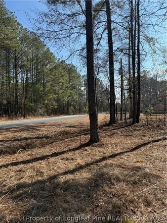a view of backyard space
