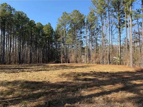 a big yard with trees in front of it
