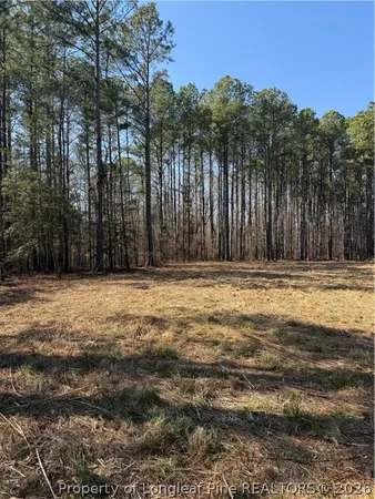 a view of swimming pool with a yard