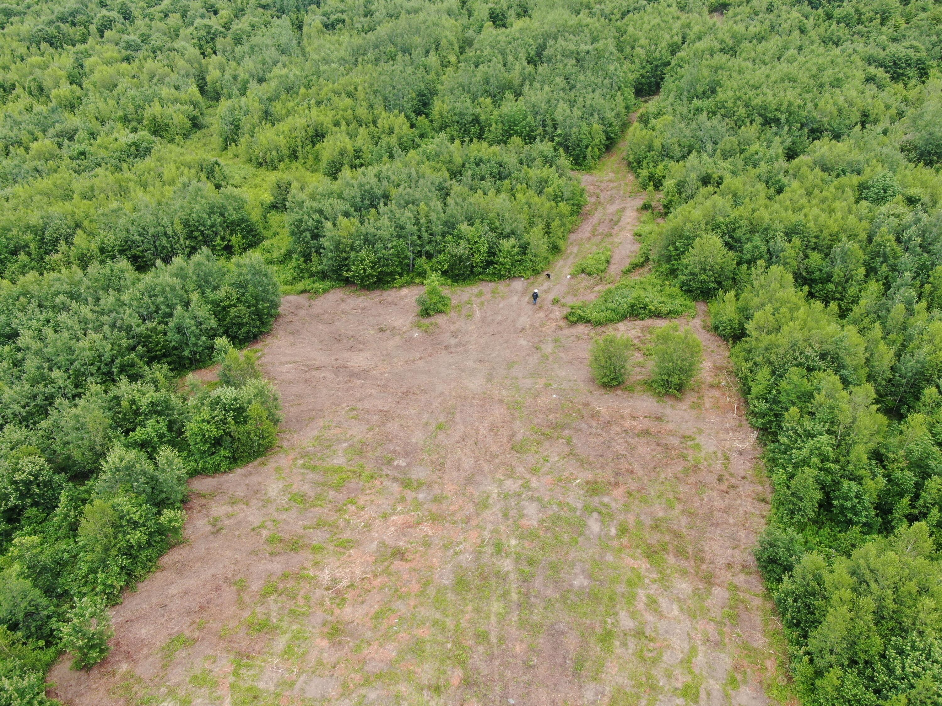 Lot 72-1 Hatstat Road Bethel, ME 04217 - Photo 4 of 18 DJI_0496