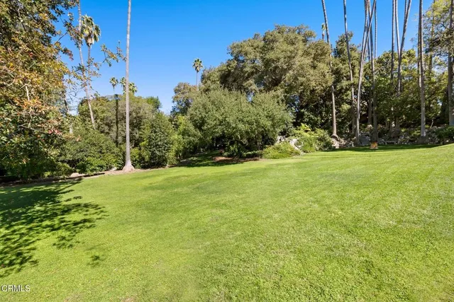 a view of a field with trees in the background