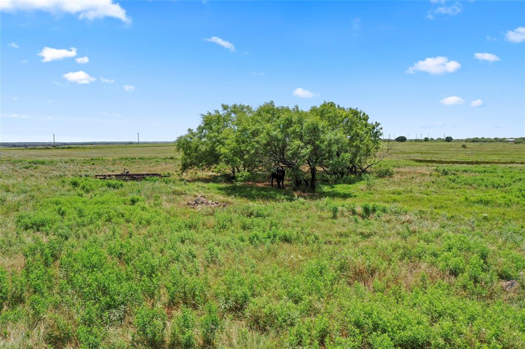 Tbd 92.81-acres Tbd 92.81-acres Leeper Road Ringgold, TX 76261 - Photo 30 of 40 a view of an outdoor space and a yard