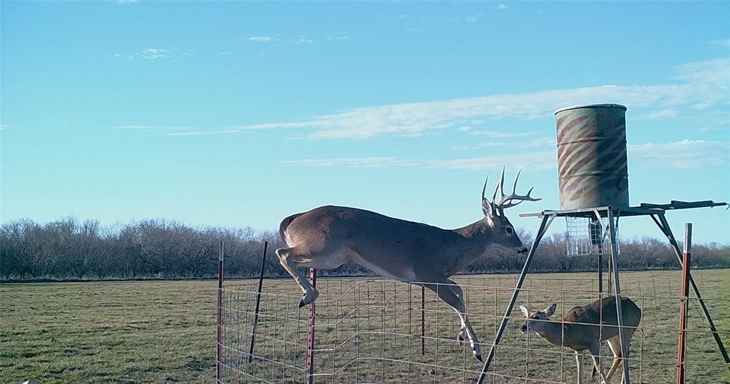 Tbd 92.81-acres Tbd 92.81-acres Leeper Road Ringgold, TX 76261 - Photo 3 of 40