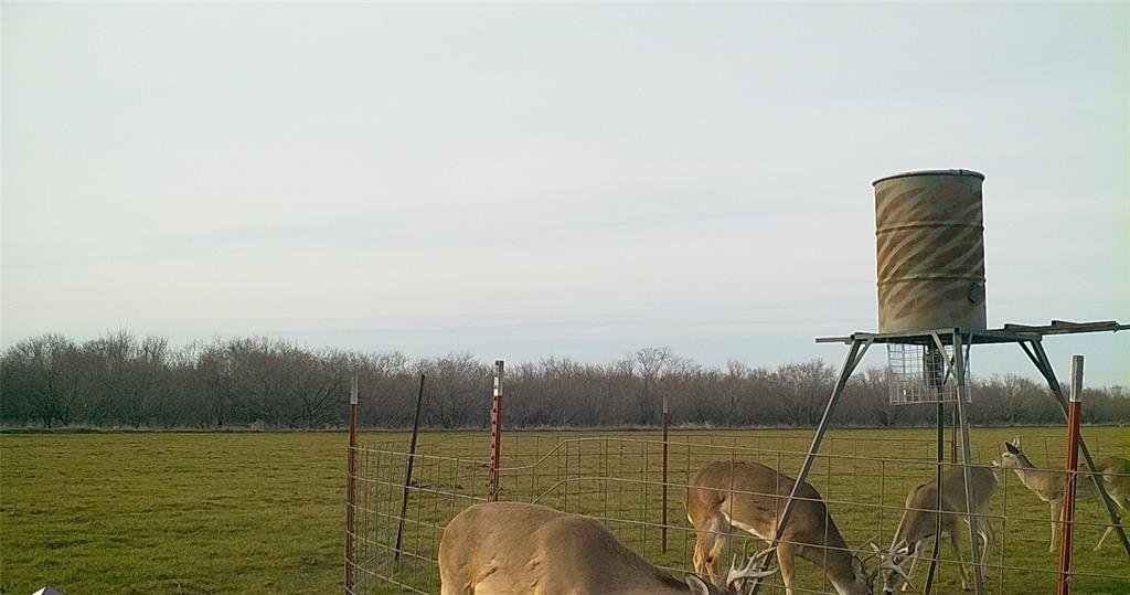 Tbd 92.81-acres Tbd 92.81-acres Leeper Road Ringgold, TX 76261 - Photo 8 of 40 a view of a terrace with chairs