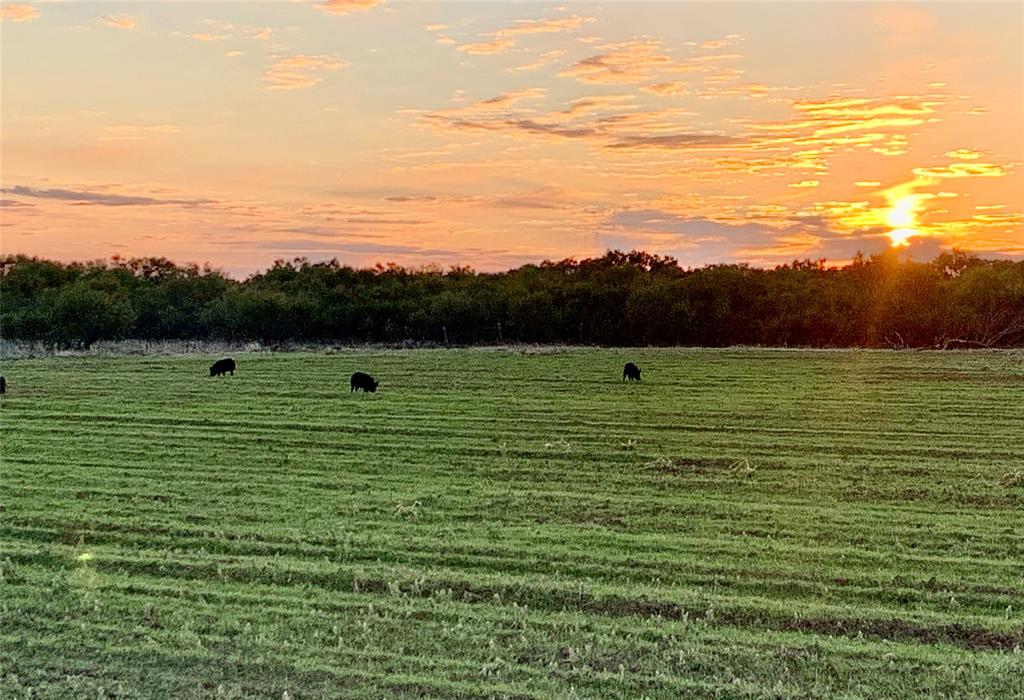 Tbd 92.81-acres Tbd 92.81-acres Leeper Road Ringgold, TX 76261 - Photo 10 of 40 a view of a grassy area with an ocean