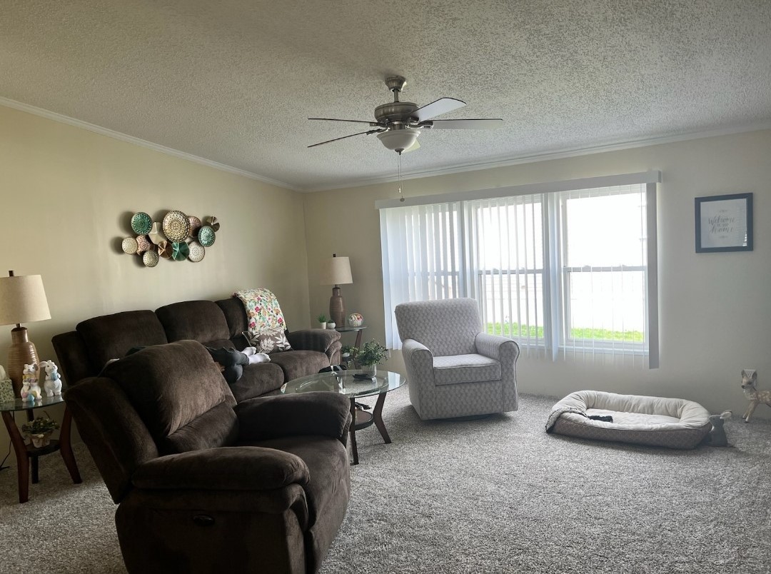 60 Cherry Lane Bourbonnais, IL 60914 - Photo 2 of 13 a living room with furniture and a large window