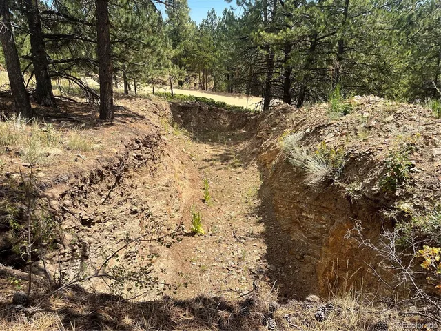 $195,000 | 795 Russell Gulch Road, Central City, CO 80427