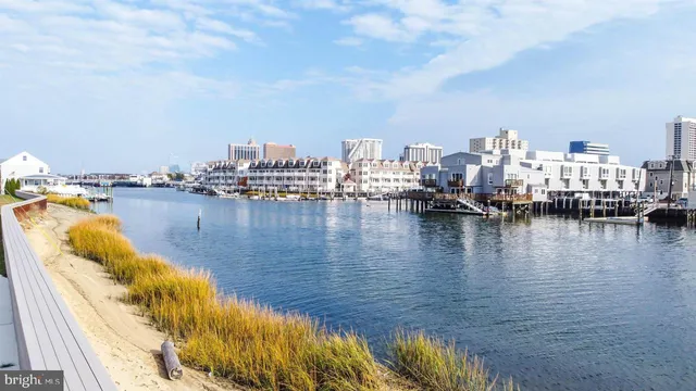 a view of water with boats and trees in the back