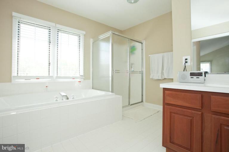10378 Wetherburn Road Woodstock, MD 21163 - Photo 19 of 30 Master Bath