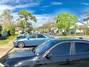 a view of yard with car parked