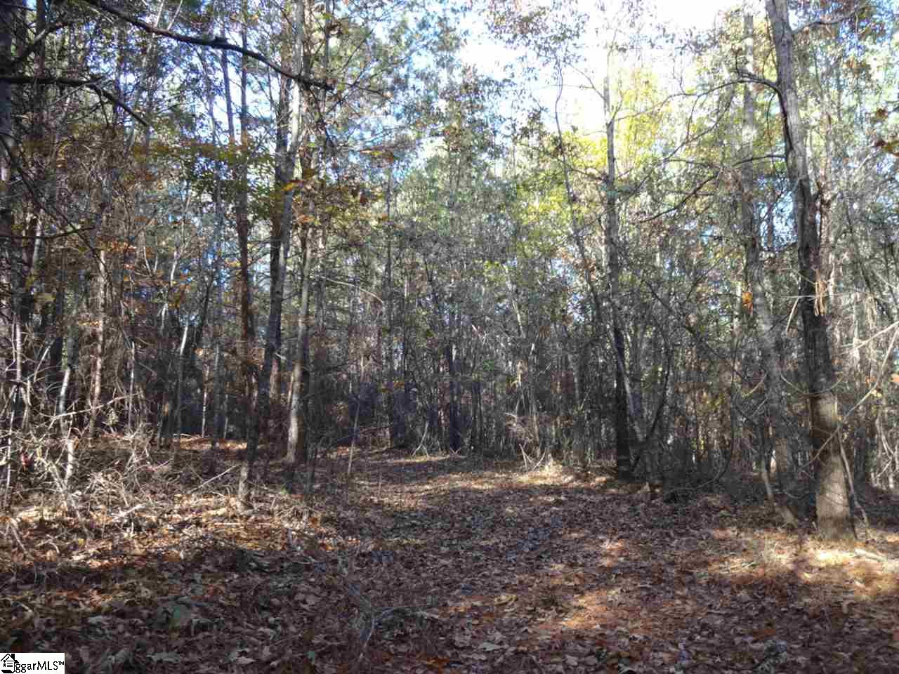 Clyde Crenshaw Road Seneca, SC 29672 - Photo 8 of 21 Gallery Image 8