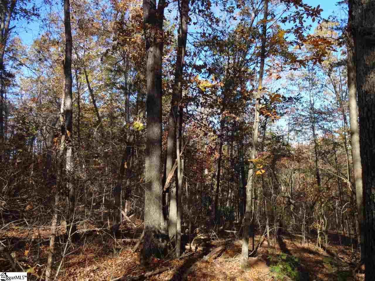 Clyde Crenshaw Road Seneca, SC 29672 - Photo 9 of 21 Gallery Image 9