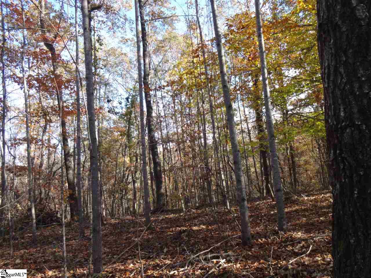 Clyde Crenshaw Road Seneca, SC 29672 - Photo 10 of 21 Gallery Image 10