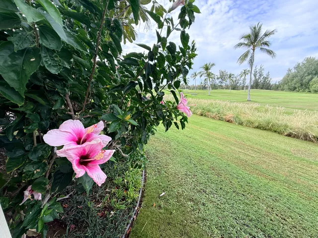 $809,000 | 69-200 Pohakulana Place, Unit F2, Waikoloa, HI 96738