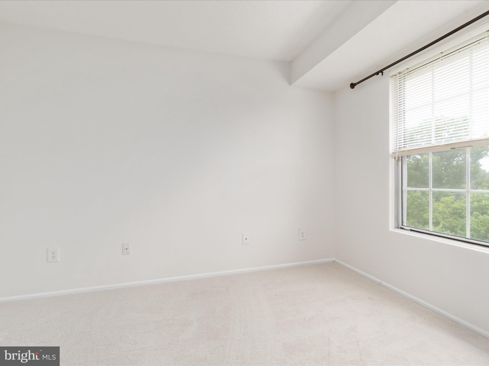 125 Fort Evans Road Southeast, Unit F Leesburg, VA 20175 - Photo 9 of 19 BY1A1766_125 Fort Evans Rd SE - Absolute Altitude