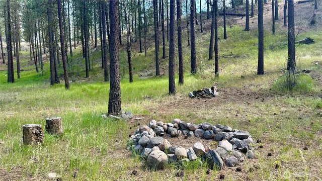 a view of backyard with green space