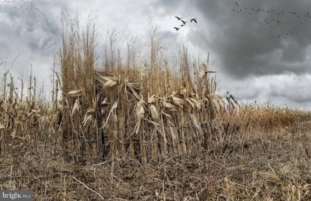 3336 Marsh Road Ewell, MD 21824 - Photo 13 of 42 a bathroom with a shower