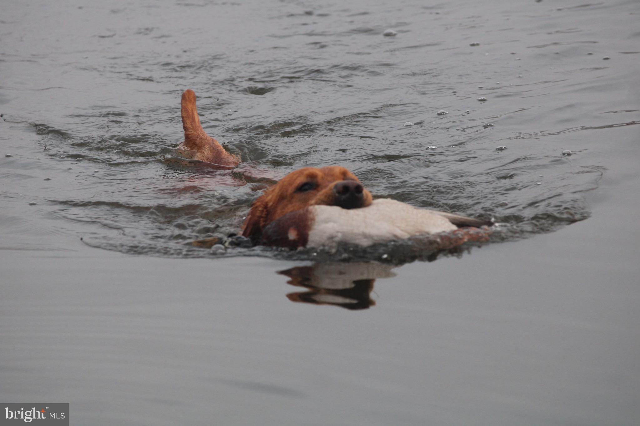 3336 Marsh Road Ewell, MD 21824 - Photo 14 of 42