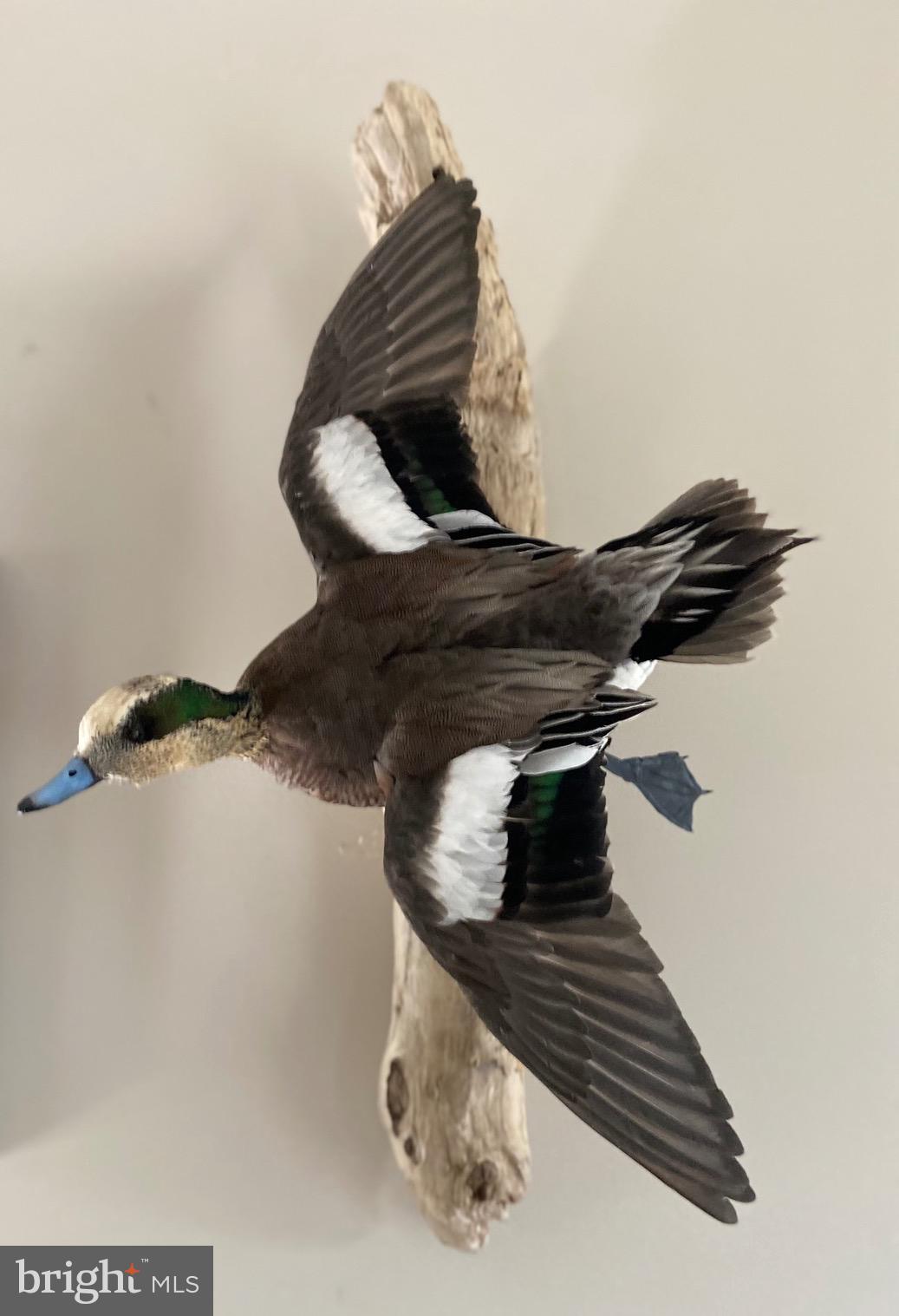 3336 Marsh Road Ewell, MD 21824 - Photo 16 of 42 a view of entryway