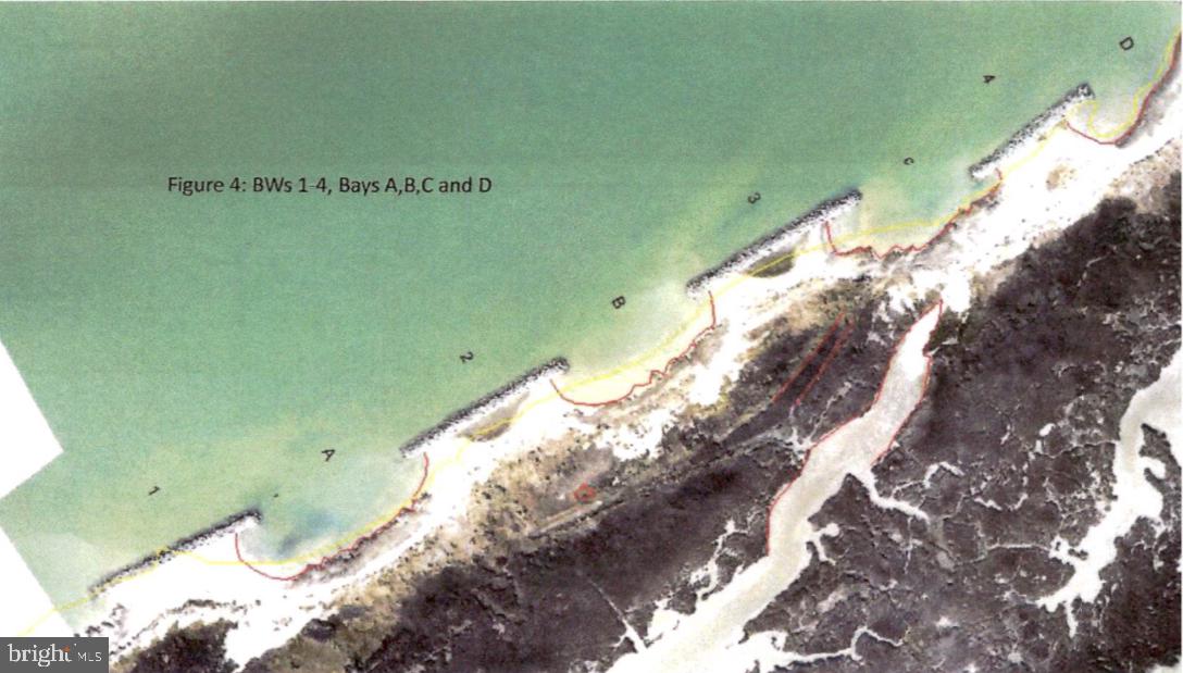 3336 Marsh Road Ewell, MD 21824 - Photo 18 of 42 a view of a yard