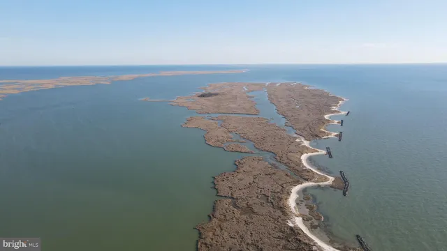 a view of a dry field