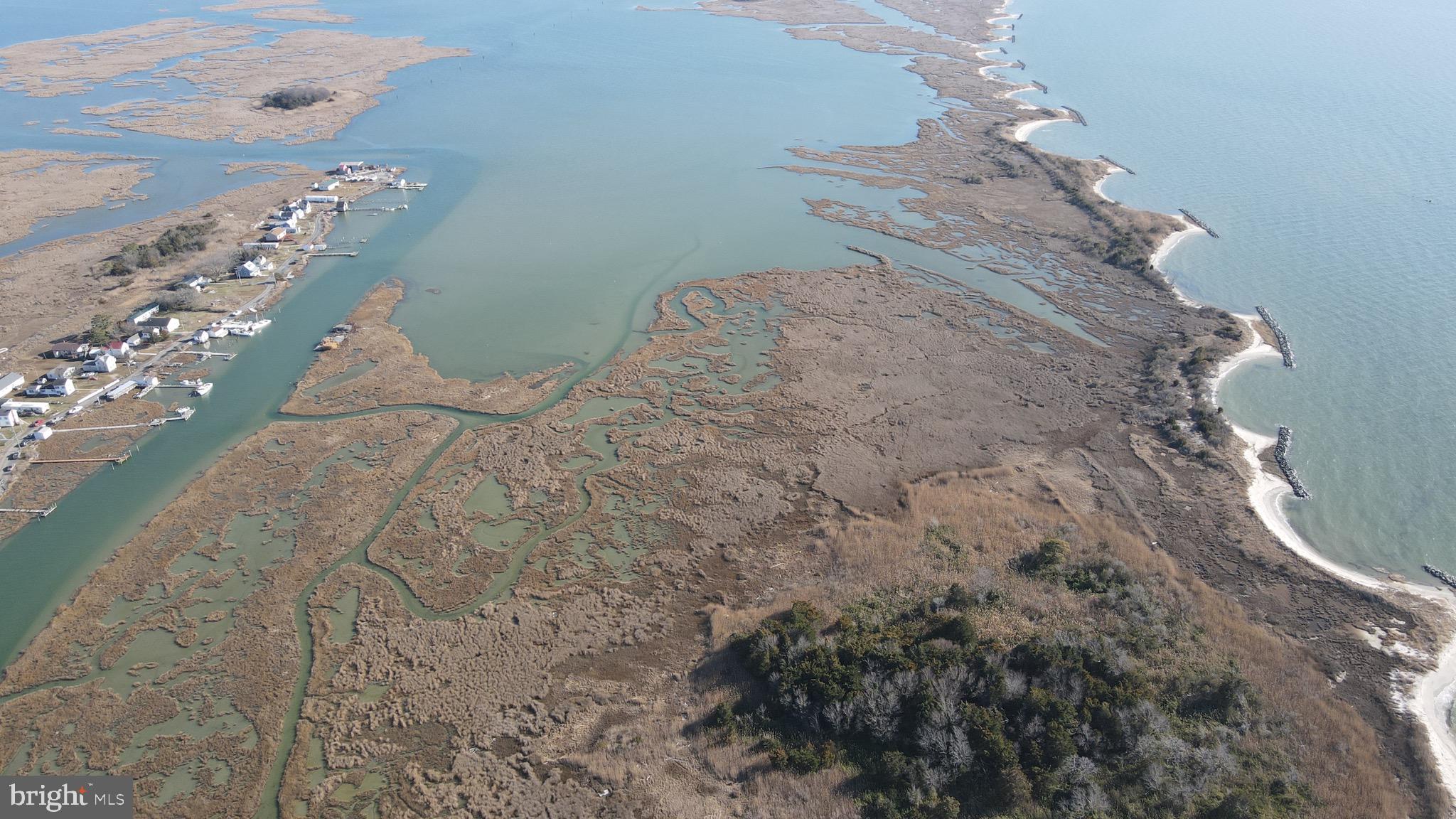 3336 Marsh Road Ewell, MD 21824 - Photo 29 of 42 a vase of flowers sitting on a table