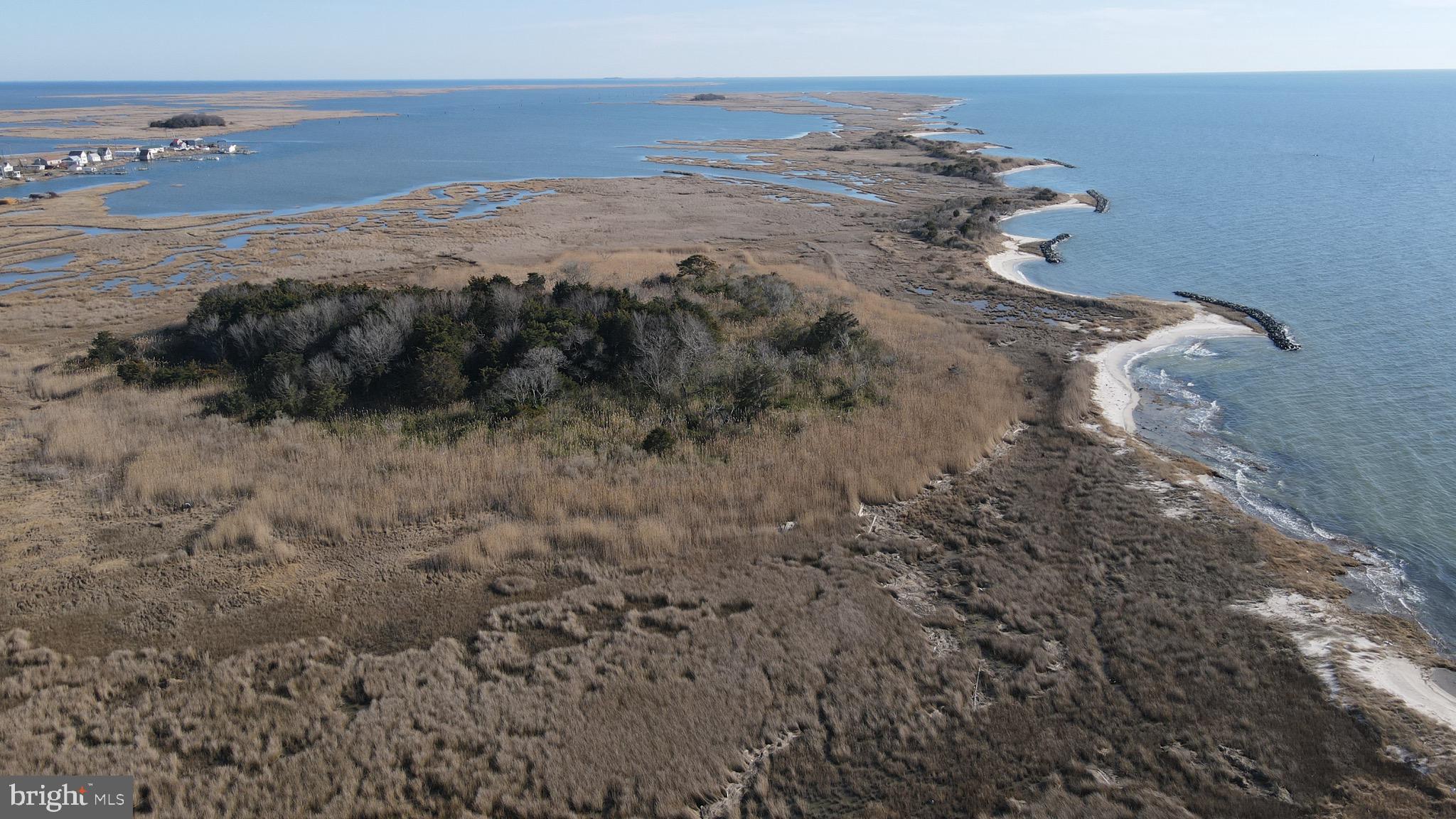 3336 Marsh Road Ewell, MD 21824 - Photo 30 of 42 a view of a lake with a mountain