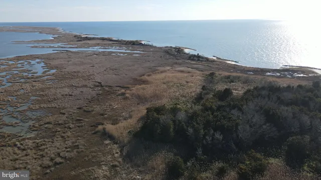 a view of a ceiling fan