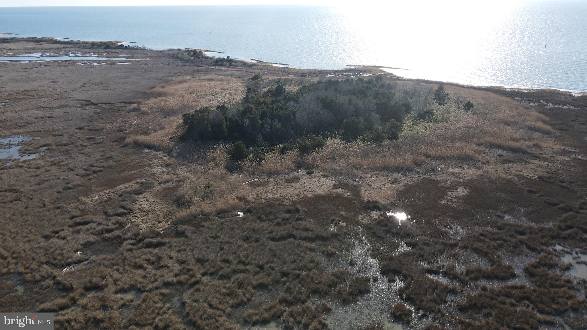 3336 Marsh Road Ewell, MD 21824 - Photo 32 of 42 a view of a dry field