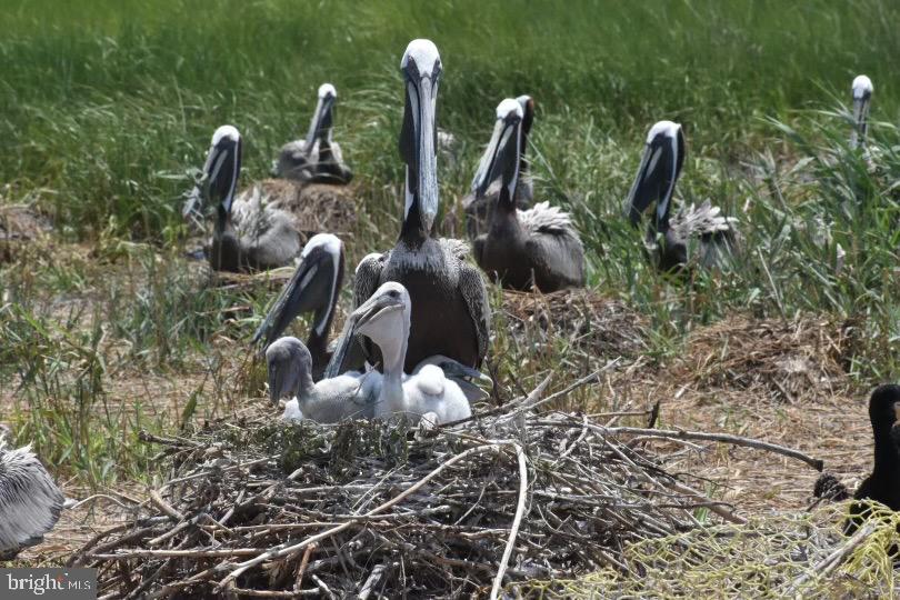3336 Marsh Road Ewell, MD 21824 - Photo 36 of 42 a close view of sink