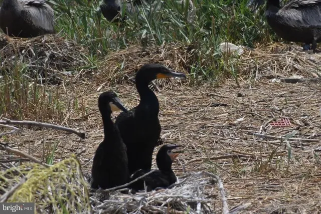 a view of an ocean and beach