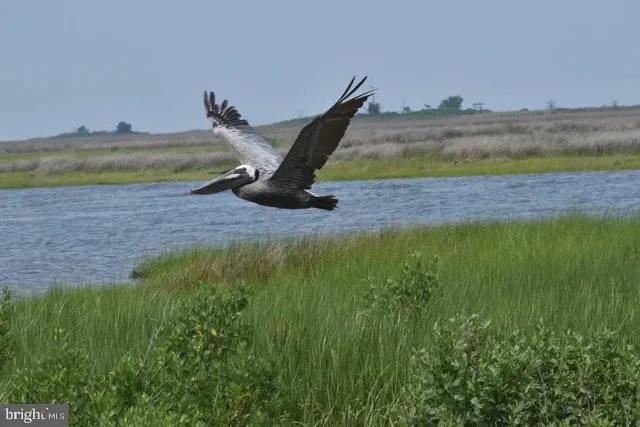 $275,000 | 3336 Marsh Road, Ewell, MD 21824