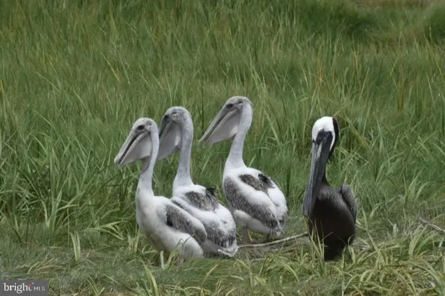 $275,000 | 3336 Marsh Road, Ewell, MD 21824