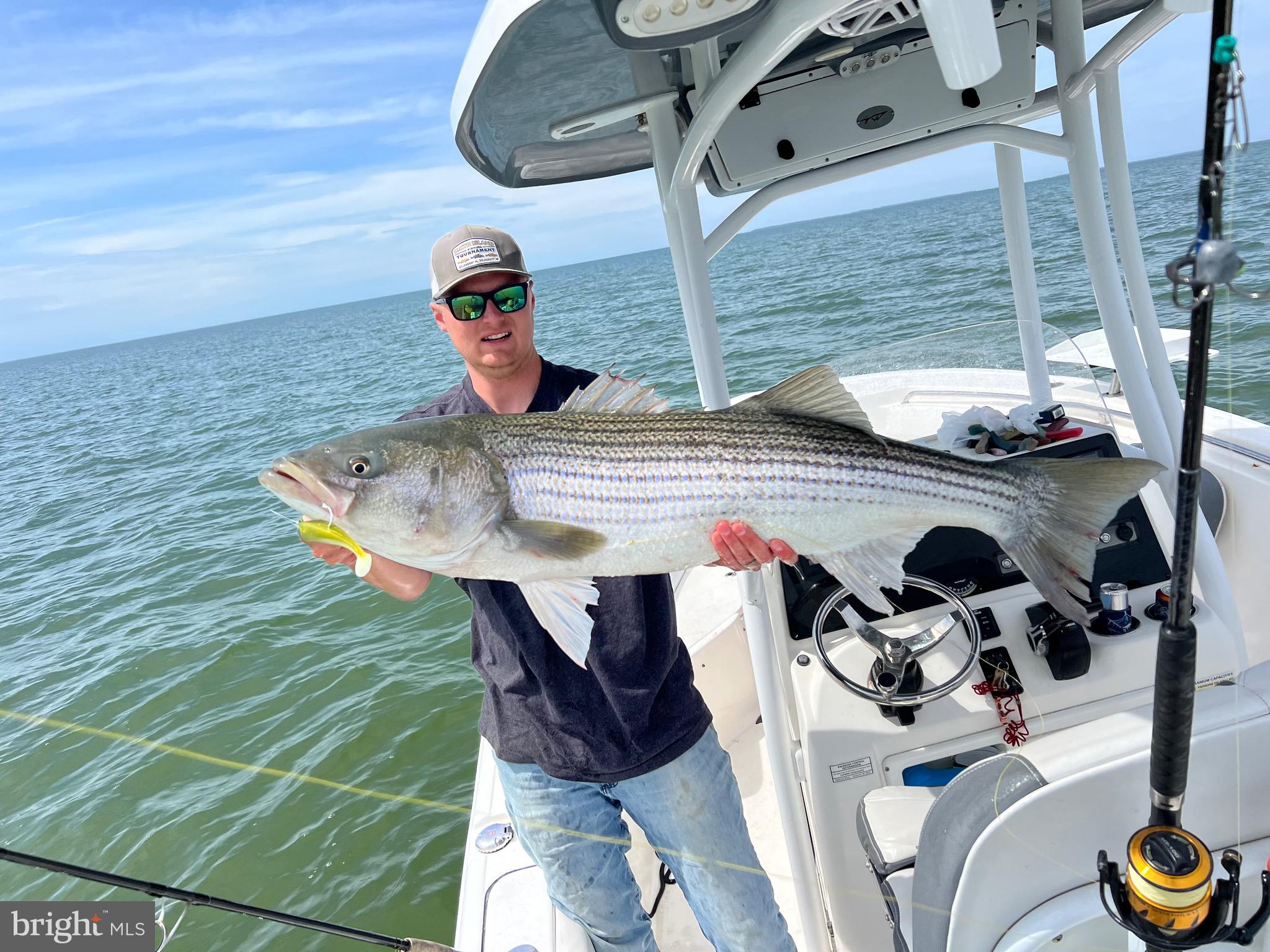 3336 Marsh Road Ewell, MD 21824 - Photo 9 of 42 a view of entryway with wooden floor