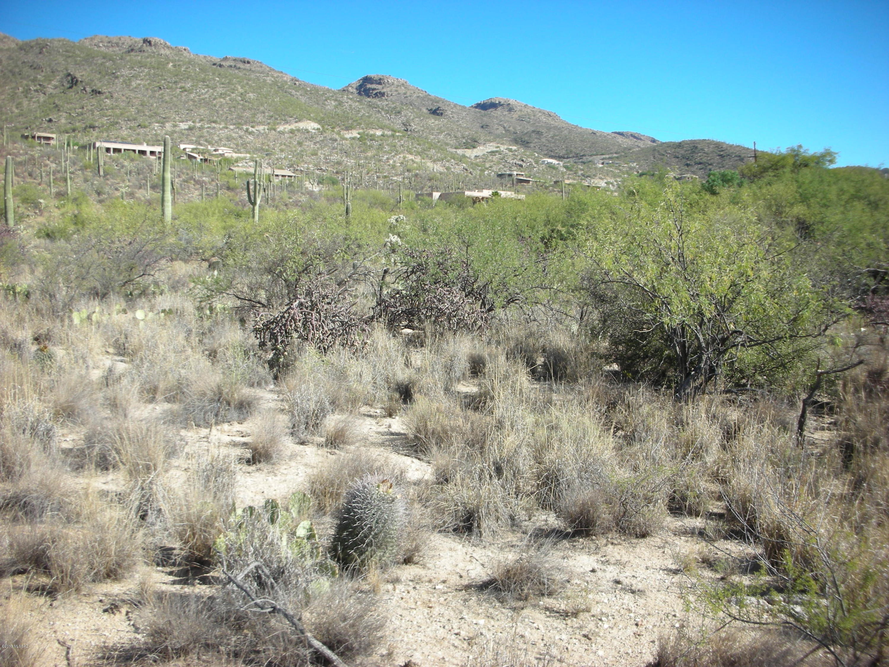 5240 North Mt Lemmon Short Road, Unit 5 Tucson, AZ 85749 - Photo 6 of 19