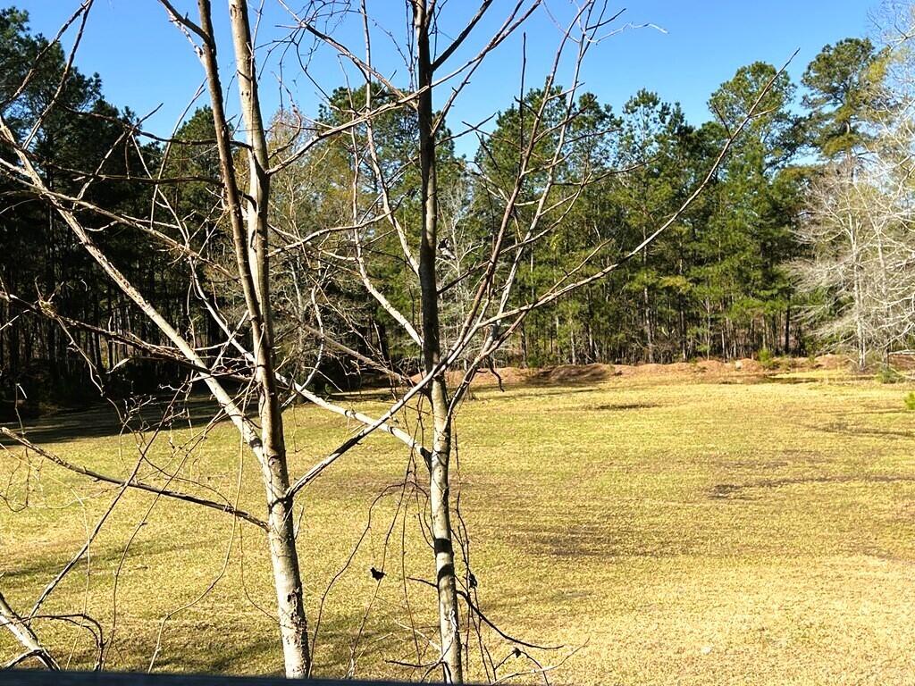 1790 Strickland Road Manning, SC 29102 - Photo 14 of 39 Rear acreage 2
