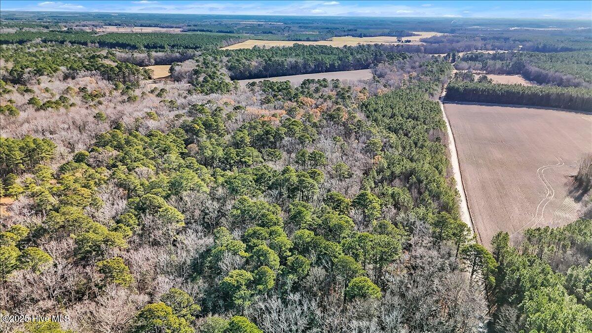 1218-1217 Ellenor Road Gates, NC 27937 - Photo 7 of 15 07-DJI_20251222111453_0113_D