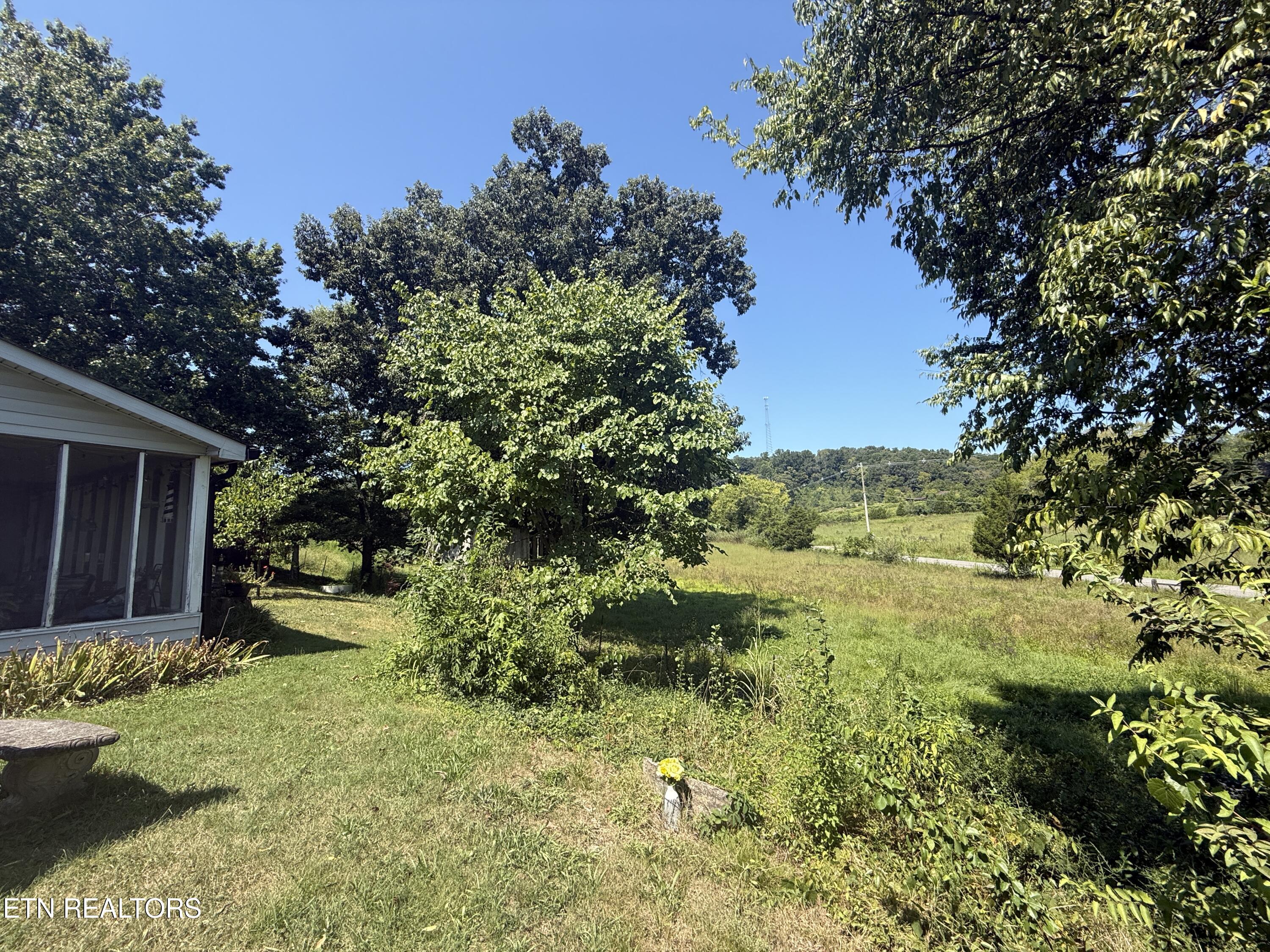 549 Raccoon Valley Road Powell, TN 37849 - Photo 17 of 42 IMG_0861